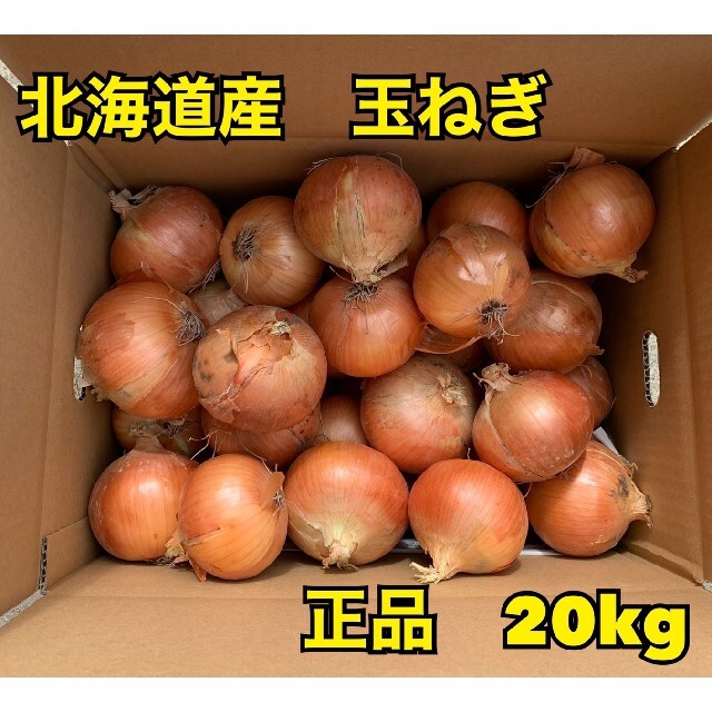 北海道産玉ねぎ品種北もみじ2000 食品/飲料/酒の食品(野菜)の商品写真