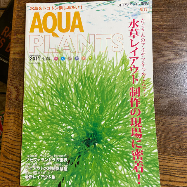 AQUA PKANTS 2011年Ｎｏ．08 エンタメ/ホビーの雑誌(アート/エンタメ/ホビー)の商品写真