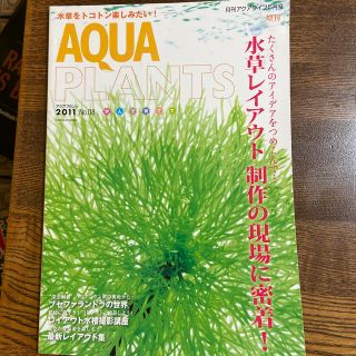 AQUA PKANTS 2011年Ｎｏ．08(アート/エンタメ/ホビー)