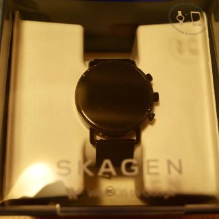 スカーゲン(SKAGEN)のスカーゲン SKAGEN SKT5109 FALSTER2 ファルスター2(その他)