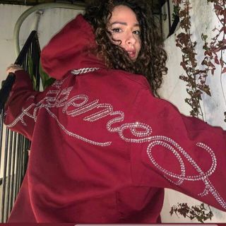 シュプリーム(Supreme)のsupreme  parka(パーカー)