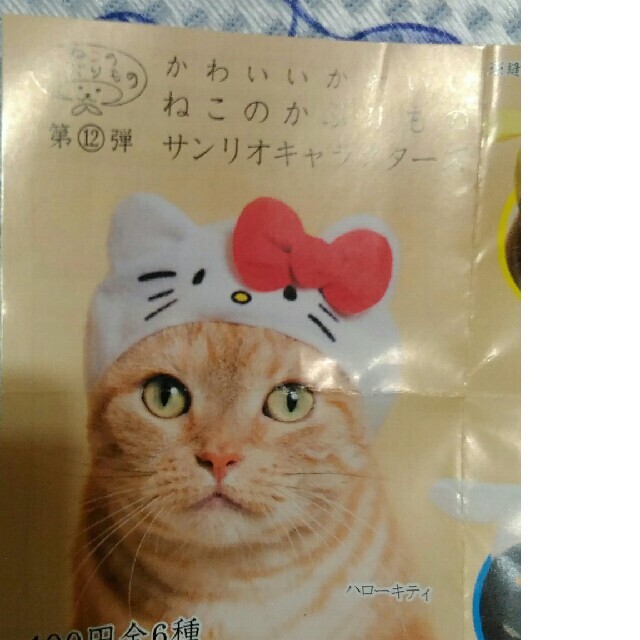 ねこのかぶりもの　キティ　完全未開封 その他のペット用品(猫)の商品写真