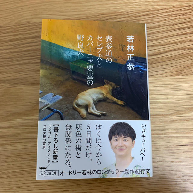 表参道のセレブ犬とカバーニャ要塞の野良犬 エンタメ/ホビーの本(文学/小説)の商品写真