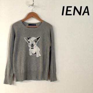 スローブイエナ(SLOBE IENA)のIENA SLOBE フロント メガネ ドッグ 柄 ニット グレー 薄手(ニット/セーター)