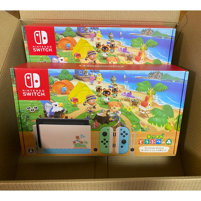 日本最大の Nintendo Switch - 任天堂スイッチ Nintendo Switch