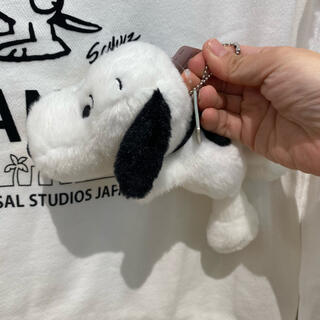 スヌーピー 限定 ぬいぐるみの通販 0点以上 Snoopyのエンタメ ホビーを買うならラクマ