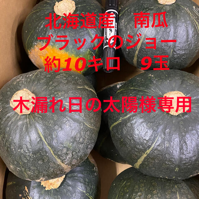 北海道産南瓜　ブラックのジョー 食品/飲料/酒の食品(野菜)の商品写真