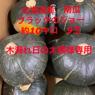 北海道産南瓜　ブラックのジョー(野菜)