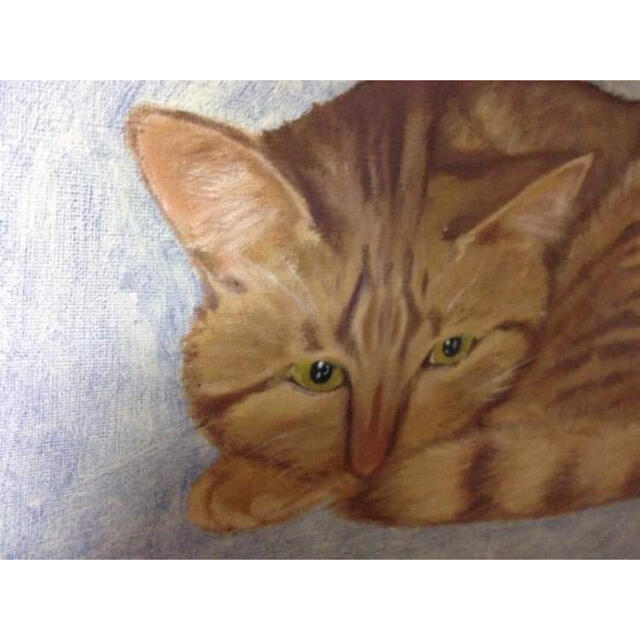 油彩画 丸くなる猫 茶トラ キャンパス 6号の通販 By Mimisama S Shop ラクマ 油彩画 丸くなる猫 茶トラ キャンパス 6号の通販 By Mimisama S Shop ラクマ