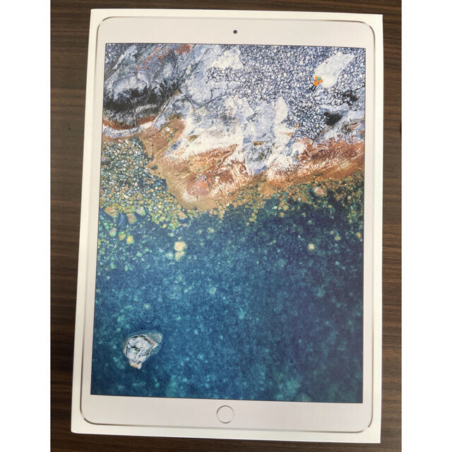 【美品】iPad Pro 10.5インチ　シルバー　64GB Cellular 3