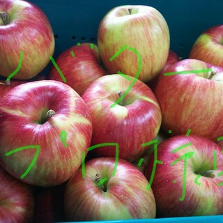 バタープロ様専用 青森県産  りんご  シナノスイート葉とらず  5キロ  10(フルーツ)