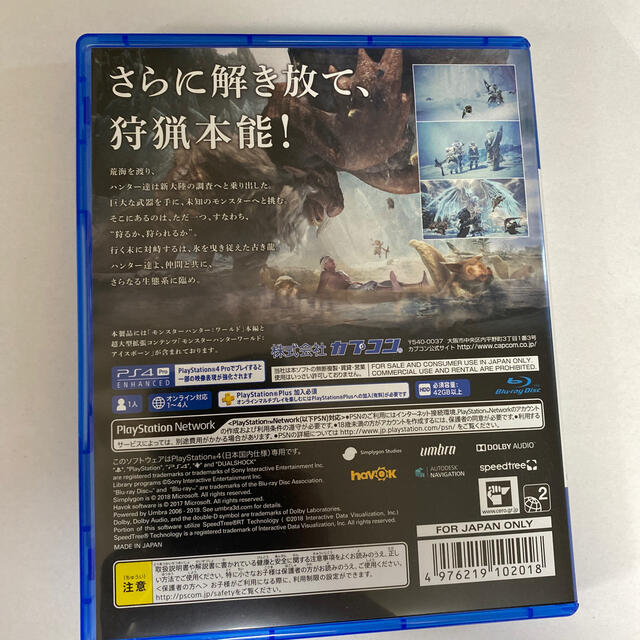 PlayStation4(プレイステーション4)のモンスターハンターワールド アイスボーン マスターエディション エンタメ/ホビーのゲームソフト/ゲーム機本体(家庭用ゲームソフト)の商品写真