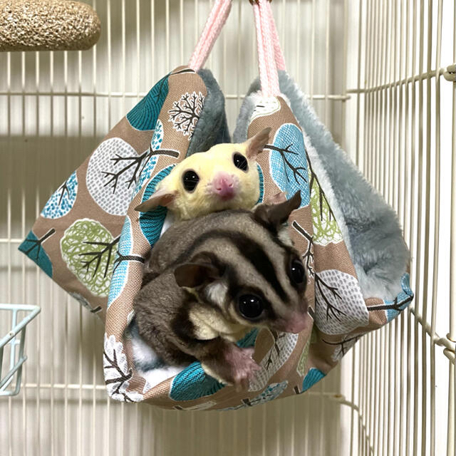 厚みたっぷり✨ぬくぬくベッド♡ハンモック♡ その他のペット用品(小動物)の商品写真