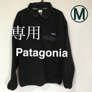 パタゴニア(patagonia)のpatagonia パタゴニア フリース　スナップT(その他)