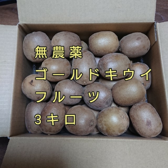 キウイフルーツ 食品/飲料/酒の食品(フルーツ)の商品写真