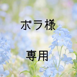 ボラ様専用  お米　令和2年　愛媛県産キヌヒカリ　玄米　30㎏(米/穀物)