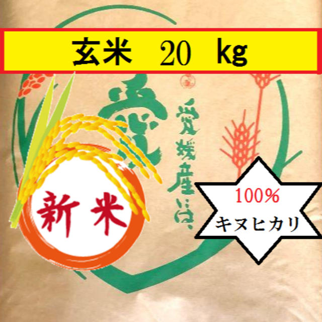 食品/飲料/酒お米　令和2年　愛媛県産キヌヒカリ　玄米　20㎏