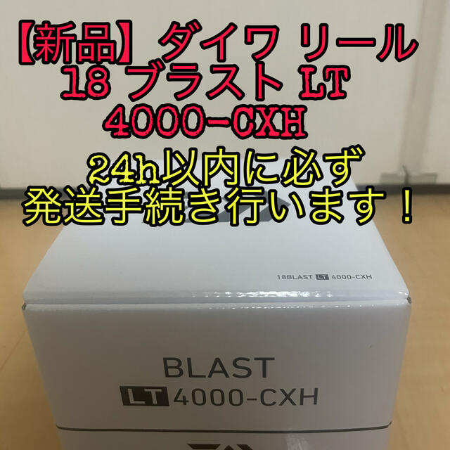 【新品】ダイワ リール 18 ブラスト LT 4000-CXH