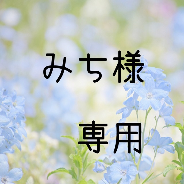 みち様専用　お米　令和2年　愛媛県産キヌヒカリ　白米　30㎏