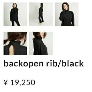 エディットフォールル(EDIT.FOR LULU)の【チワワ様ご専用です】papier back open rib(ニット/セーター)