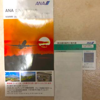 エーエヌエー(ゼンニッポンクウユ)(ANA(全日本空輸))のANA 株主優待(その他)