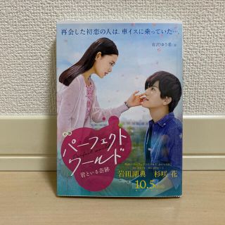 サンダイメジェイソウルブラザーズ(三代目 J Soul Brothers)のパーフェクトワールド 君といる奇跡 【小説・パーフェクトワールド・古本・美品】(文学/小説)