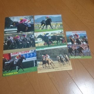 競馬 ポストカード 7枚(使用済み切手/官製はがき)