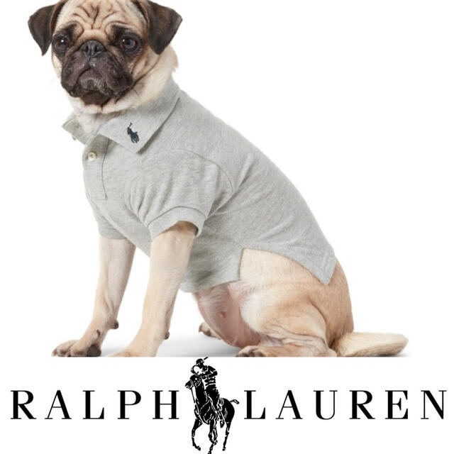 POLO RALPH LAUREN(ポロラルフローレン)の【satosatorock様専用】ラルフローレン  (トイプー等)犬用 洋服 M その他のペット用品(犬)の商品写真