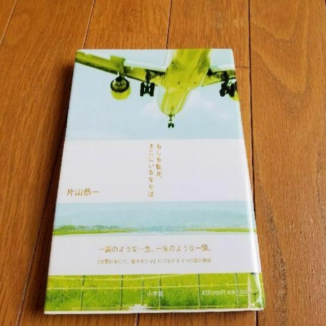 もしも私がそこにいるならば エンタメ/ホビーの本(文学/小説)の商品写真