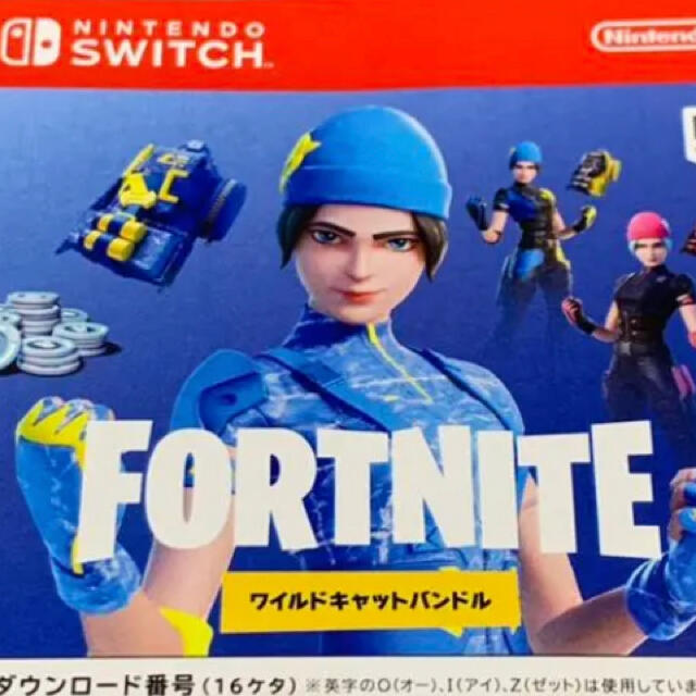 未使用　任天堂スイッチ　フォートナイトスペシャルセット　特典コードチラシ