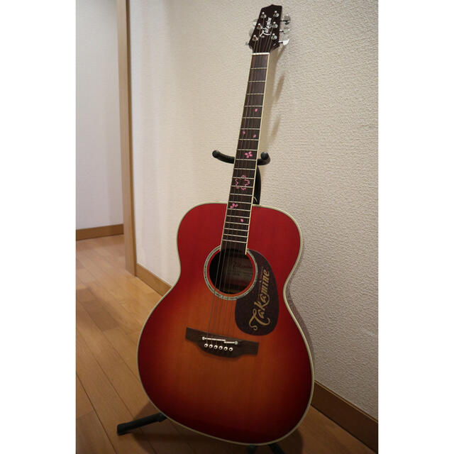 Takamine アコースティックギター（大原櫻子モデル）