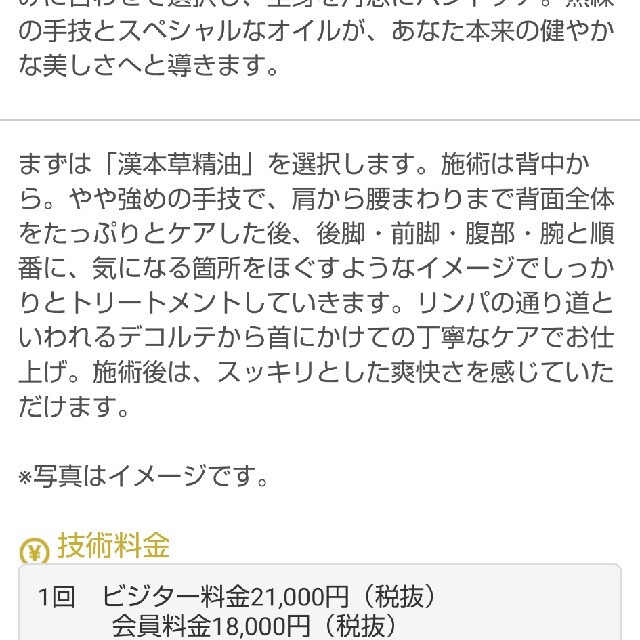 たかの友梨 2020クリスマスギフトチケット 3