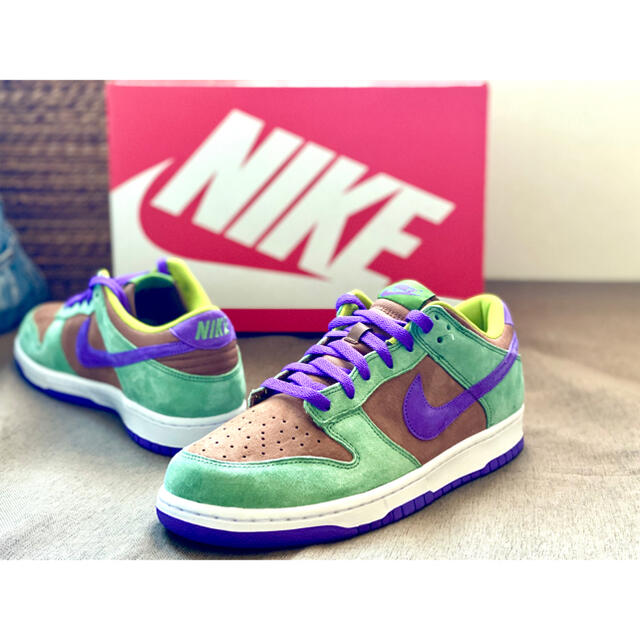 NIKE(ナイキ)のNIKE DUNK LOW SP 29cm メンズの靴/シューズ(スニーカー)の商品写真