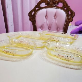 マニー エピ 麦シリーズ 耐熱ガラス グラタン皿 セット