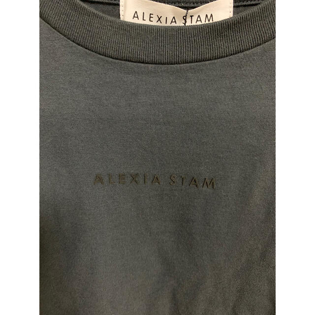 ALEXIA STAM(アリシアスタン)のアリシアスタン　チャコール　Tシャツ　バーニーズ　 レディースのトップス(Tシャツ(半袖/袖なし))の商品写真