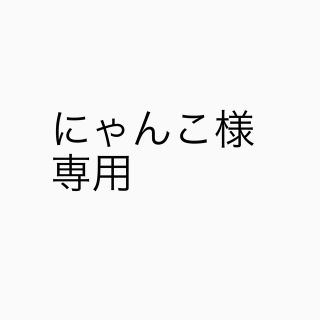 にゃんこ様専用(その他)