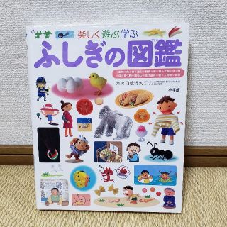 ショウガクカン(小学館)のふしぎの図鑑 楽しく遊ぶ学ぶ(絵本/児童書)