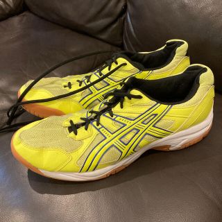 アシックス(asics)のアシックス　バドミントン  シューズ　29cm(バドミントン)