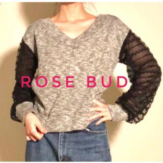 ローズバッド(ROSE BUD)のROSEBUD ローズバッド　シースルーニット　★おまけ付き(ニット/セーター)