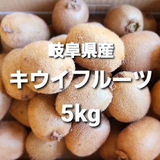 ⑤02 岐阜県産 無農薬 キウイフルーツ5kg お得！(フルーツ)