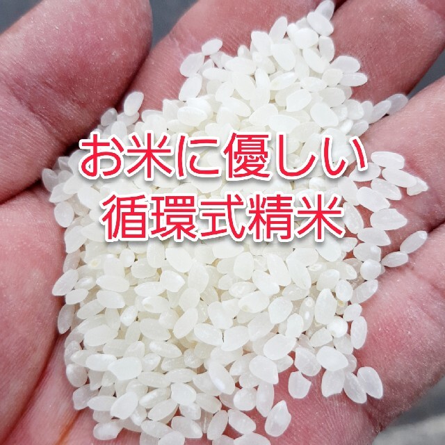 農薬８割減》新米コシヒカリ25kg玄米《100%有機肥料》　米/穀物