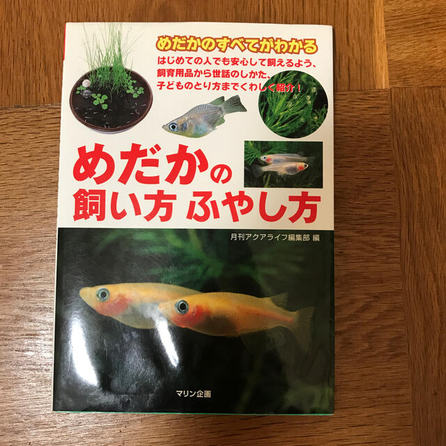 めだかの飼い方ふやし方 めだかのすべてがわかる エンタメ/ホビーの本(住まい/暮らし/子育て)の商品写真