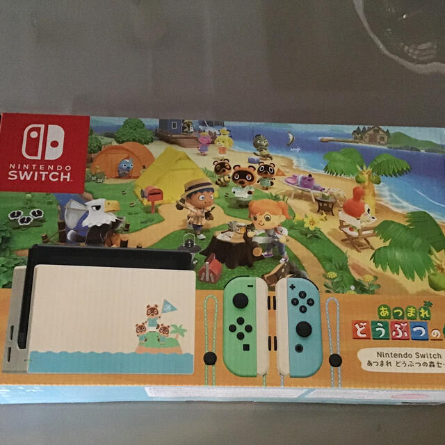Nintendo Switch 任天堂 本体 どうぶつの森セット