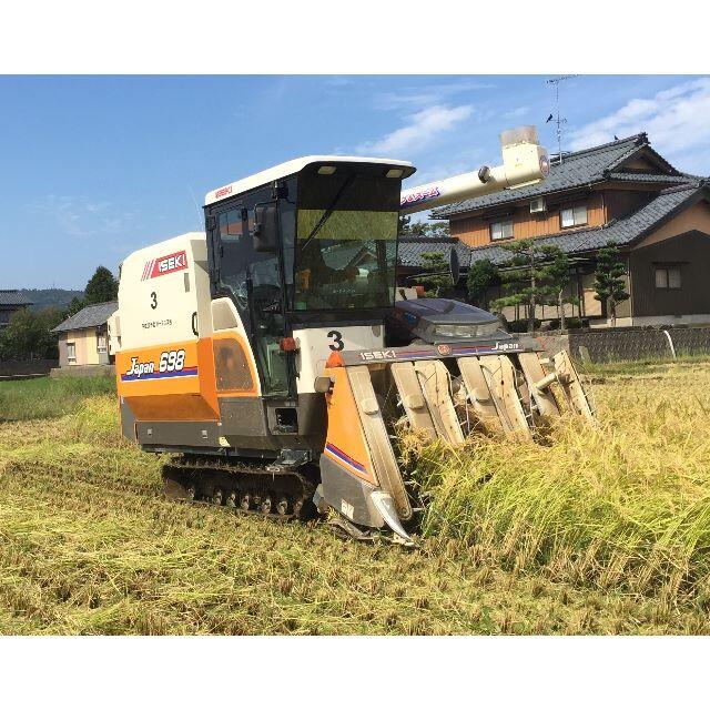 みー　