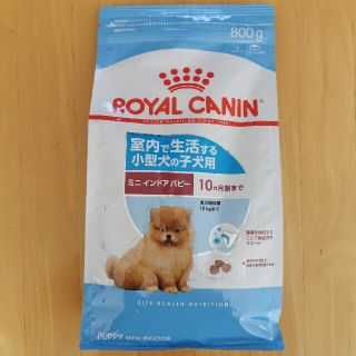 ロイヤルカナン(ROYAL CANIN)の新品未開封 ロイヤルカナン室内・小型子犬用800g(ペットフード)