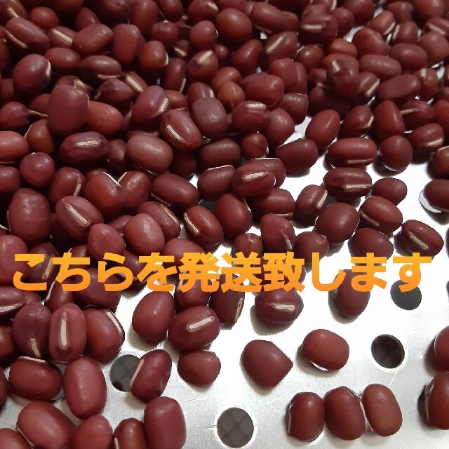 北海道　えりも小豆　850g 食品/飲料/酒の食品(野菜)の商品写真
