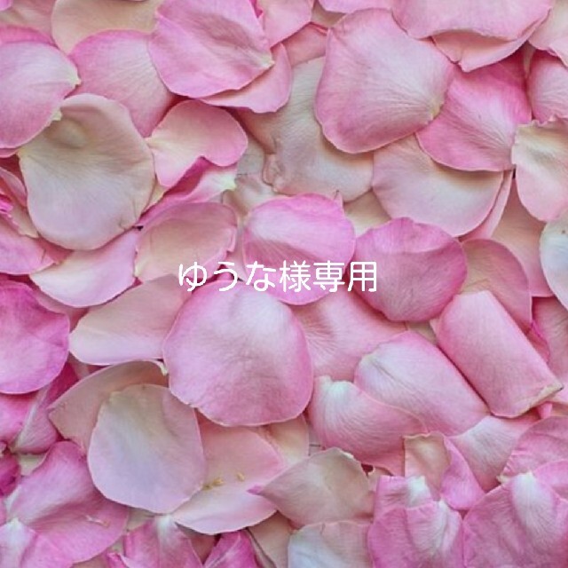 インポート❣️中国コスメ❣️リボン型 リップ 3本セット(A) コスメ/美容のベースメイク/化粧品(口紅)の商品写真