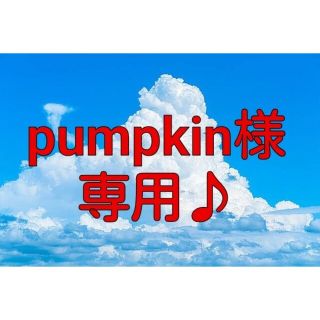 【感謝価格】「わがしちろる」チロルチョコ（みたらし団子・塩豆大福♪）(菓子/デザート)