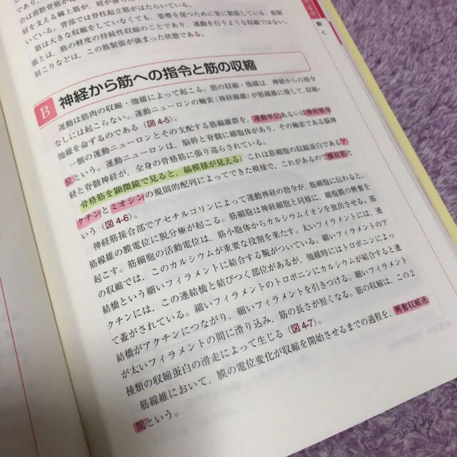 日本看護協会出版会(ニホンカンゴキョウカイシュッパンカイ)の看護形態機能学 生活行動からみるからだ エンタメ/ホビーの本(健康/医学)の商品写真