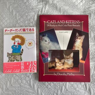 カドカワショテン(角川書店)のグ－グ－だって猫である　(青年漫画)